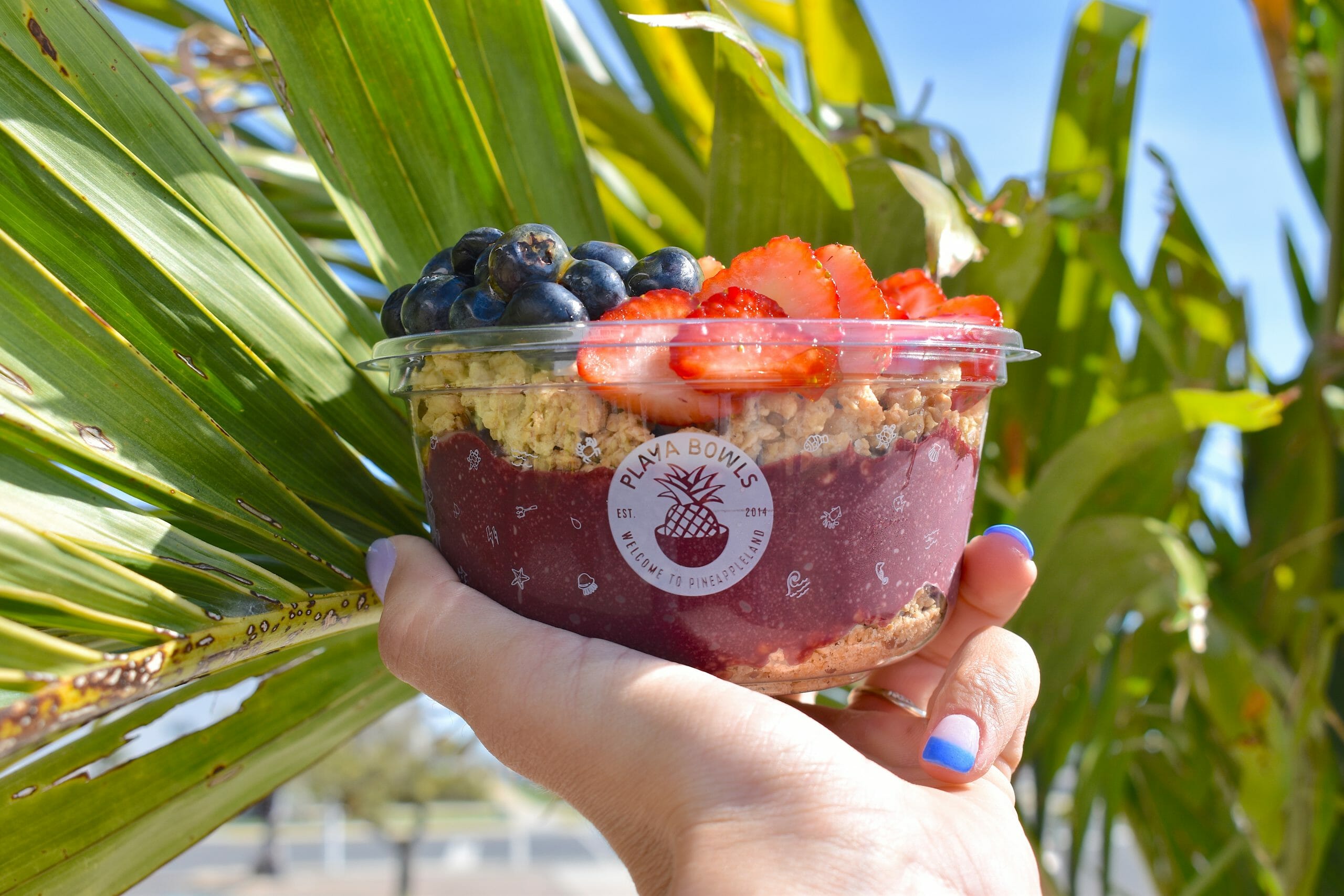 All About Açai From The Açai Bowl Experts: Our Founders